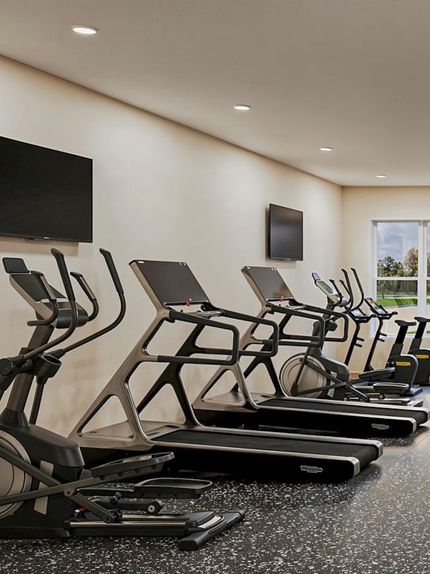 Modern gym with treadmills, ellipticals, wall-mounted TVs, and large window showing outdoor scenery.